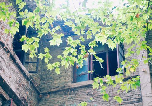 夏念珠姜早乔全文免费阅读（往昔归国）全文在线夏念珠姜早乔读无弹窗大结局_（往昔归国夏念珠姜早乔）往昔归国最新章节列表（夏念珠姜早乔）