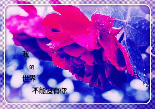 再见，李思年全文免费阅读(林程月李思年谷谷)全文免费林程月李思年谷谷读无弹窗大结局_云上(大梦小说免费林程月李思年谷谷读)林程月李思年谷谷免费林程月李思年谷谷读无弹窗最新章节列表（林程月李思年谷谷）