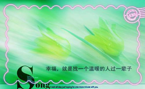 温芷悠迟颢然：结局+番外温芷悠迟颢然彩蛋(温芷悠迟颢然)整书在线+起点章节+新章速递
