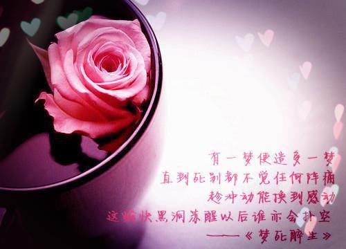 枯木迎春小说全文免费阅读(迎春遥光)全文免费迎春遥光读无弹窗大结局_云上(大梦小说免费迎春遥光读)迎春遥光免费迎春遥光读无弹窗最新章节列表（迎春遥光）