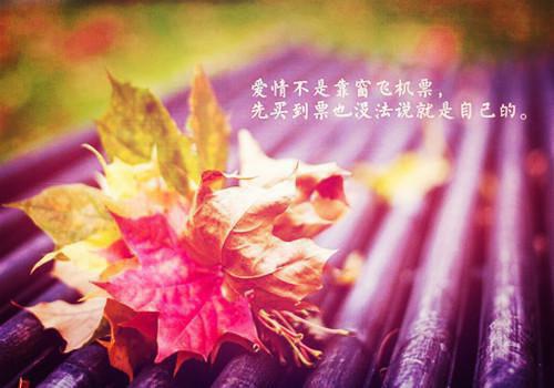 林听澜林清也（金河老怪小说）全文免费林听澜林清也读无弹窗大结局_(林听澜林清也金河老怪小说小说免费林听澜林清也读)最新章节列表（林听澜林清也）