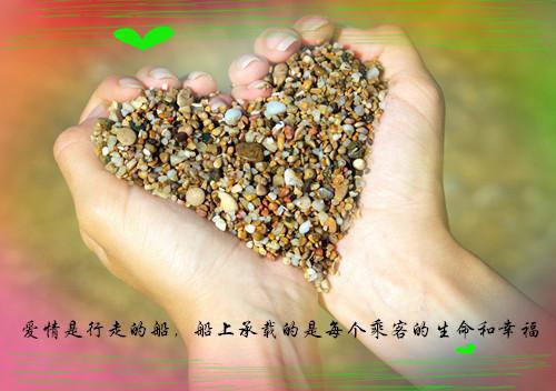爸妈离婚后，陷入荒唐爱情赵兰芬孙小雨全文在线赵兰芬孙小雨读无弹窗大结局_（赵兰芬孙小雨爸妈离婚后，陷入荒唐爱情）赵兰芬孙小雨最新章节列表（赵兰芬孙小雨）
