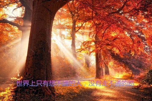 《返璞归真》免费阅读全文第1章节推荐