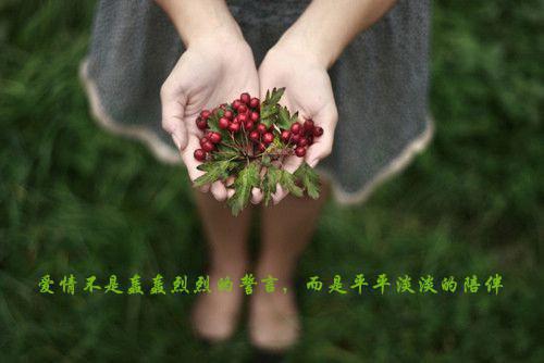江言傅秦书雅(行至爱意消散处小说:结局+番外)全文在线阅读无弹窗大结局_(行至爱意消散处小说:结局+番外江言傅秦书雅)行至爱意消散处小说:结局+番外最新章节列表(江言傅秦书雅)