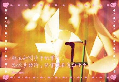 (番外)+(全文)见春天不见故人：全篇+结局+番外（姜沐瑶谢景城）全文免费阅读无弹窗大结局_(见春天不见故人：全篇+结局+番外)最新章节列表（姜沐瑶谢景城）