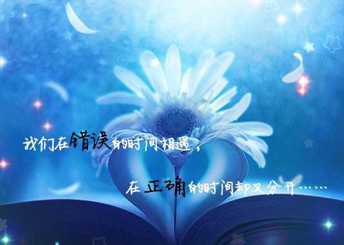 蔓蔓生长免费小说江蔓沈宴礼全章节阅读