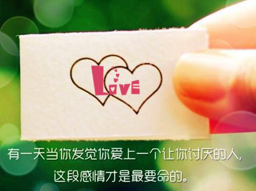 杳杳文化写的小说我在程嘉明不火的时候就在追他全本小说阅读