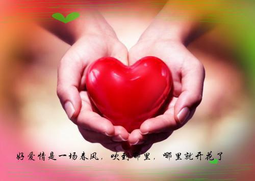 完结版小说秦远川安然后续阅读by安然免费阅读