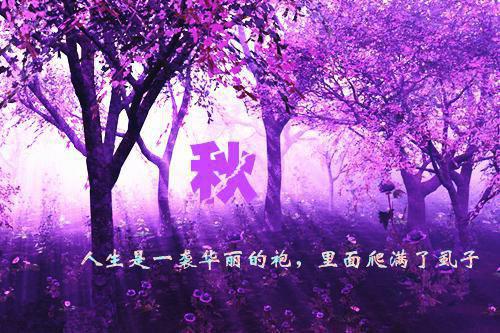 完结版小说傅驰，顾嘉楠by傅驰免费阅读