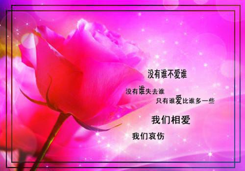 江一执许听夏小说结局江一执许听夏完结版免费小说全文阅读