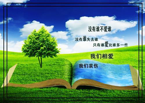 小说爹娘是京都里出了名的恩爱夫妻主角为沈琳琅江晟免费阅读