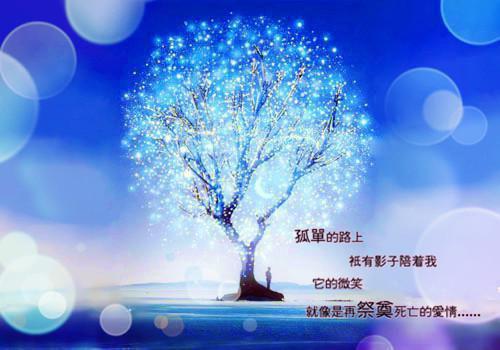 契约新娘总裁的小娇妻（苏晚厉司琛）全文免费阅读_契约新娘总裁的小娇妻最新章节小说免费阅读契约新娘总裁的小娇妻