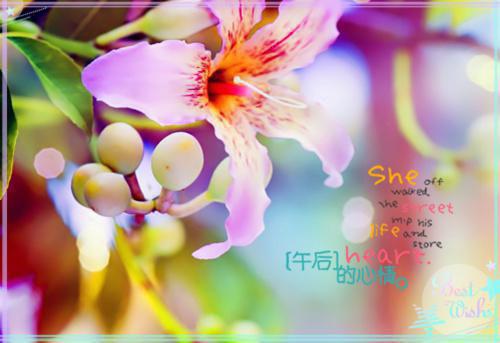 温馨的句子爱情