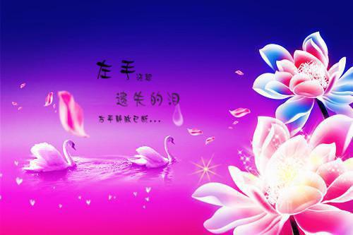 全本小说逃不掉！清冷宿主又被病娇强制爱柏寒雨沈遇星全文免费阅读