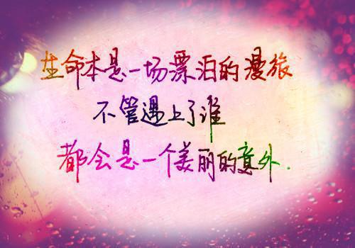 穿越六零开局钓到航空母舰阎解文秦淮茹免费阅读全文无删减版