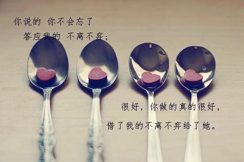 姜绵音季呈姜绵音季呈完结版免费小说全文阅读