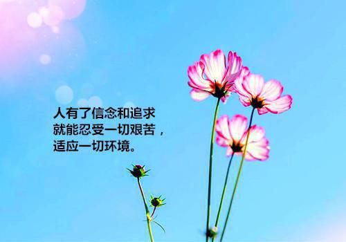 c许忘许晚晚是什么小说_许忘许晚晚小说重生干翻绿茶假千金是《重生干翻绿茶假千金》