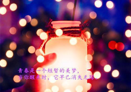 玄医踏红尘从退婚开始小说免费阅读玄医踏红尘从退婚开始小说全文免费阅读_（林辰秦雪薇孙妙言）玄医踏红尘从退婚开始最新章节列表