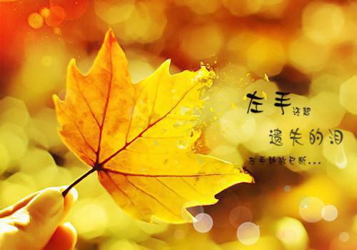 顾教授的新月江初月顾斐琛全文免费阅读（顾教授的新月小说）全文免费江初月顾斐琛读无弹窗大结局_顾教授的新月小说江初月顾斐琛最新章节列表（江初月顾斐琛）