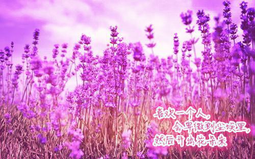 池尧孟舒魏璟全文免费阅读（语岚丝袜:取悦回响）全文免费池尧孟舒魏璟读无弹窗大结局_(语岚丝袜:取悦回响免费池尧孟舒魏璟读全文大结局)最新章节列表（池尧孟舒魏璟）