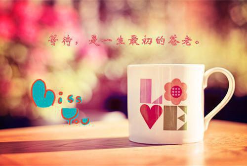 (番外)+(结局)苏瑾柔萧逸风（苏瑾柔 萧逸风：结局+番外）全文免费阅读无弹窗大结局_(苏瑾柔萧逸风)最新章节列表（苏瑾柔 萧逸风：结局+番外）