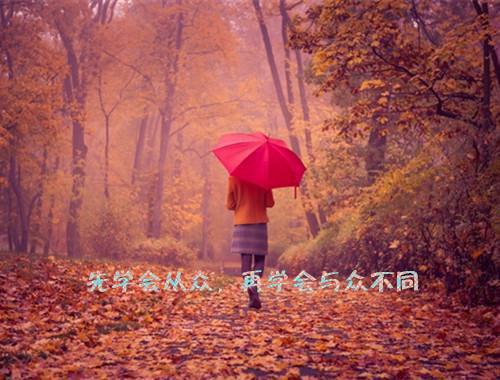 从街访开始的巨星全文txt免费阅读第3章