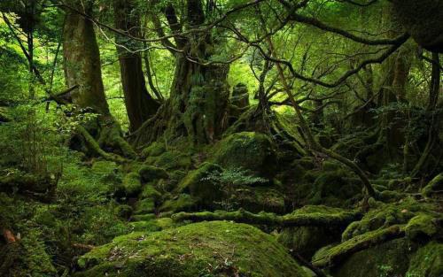 (番外)+(全文)人间无数草为萤:结局+番外(林憬孟序淮)小说最新列表_恰逢暮雪又白头(林憬孟序淮)全文阅读无弹窗人间无数草为萤:结局+番外