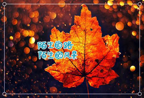 林依依林青青林竹心全文免费阅读（被继母溺杀后我重生了）全文免费林依依林青青林竹心读无弹窗大结局_(林依依林青青林竹心被继母溺杀后我重生了免费林依依林青青林竹心读全文大结局)最新章节列表（林依依林青青林竹心）