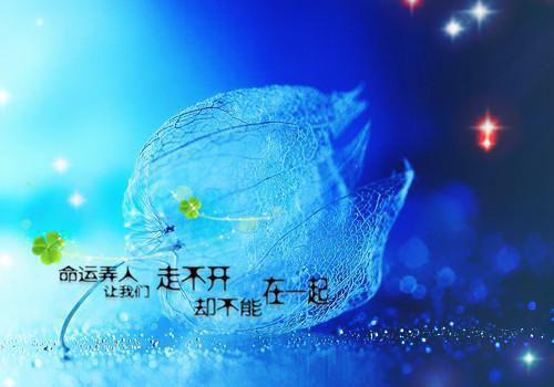 姜岷姜让殷音全文免费阅读（蜜糖沦陷）全文在线姜岷姜让殷音读无弹窗大结局_（蜜糖沦陷姜岷姜让殷音）蜜糖沦陷最新章节列表（姜岷姜让殷音）