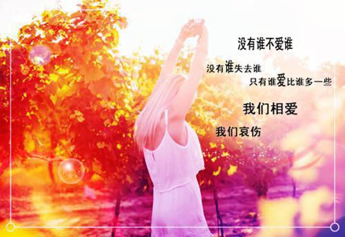 烂玫瑰与白海棠全本小说免费阅读第5章精彩章节