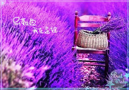 童蕾萧汐研（童蕾萧汐研：结局+番外）重回八零之首长追妻路全文免费阅读无弹窗大结局_(童蕾萧汐研)最新章节列表（童蕾萧汐研：结局+番外）重回八零之首长追妻路