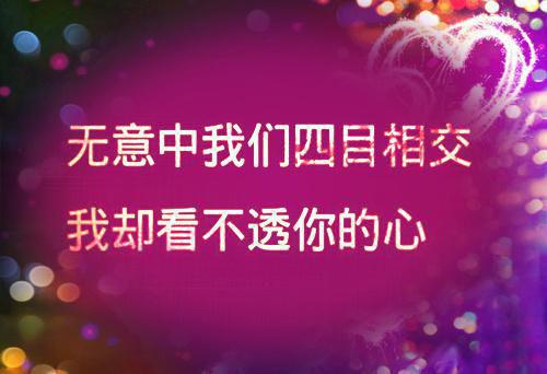 沈意欢陆沉舟：+后续+结局（沈意欢陆沉舟）最新章节列表_沈意欢陆沉舟：+后续+结局全文阅读沈意欢陆沉舟