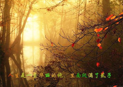 (番外)+(全文)九死一生飞升后，落魄皇子他疯了：结局+番外+全文（皇甫凌阿扶）完整版小说阅读_九死一生飞升后，落魄皇子他疯了：结局+番外+全文免费阅读（皇甫凌阿扶）