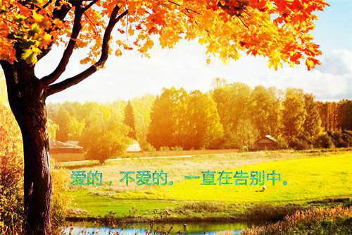 羊哞哞的小说向来缘浅奈何情深全文完整版在线阅读