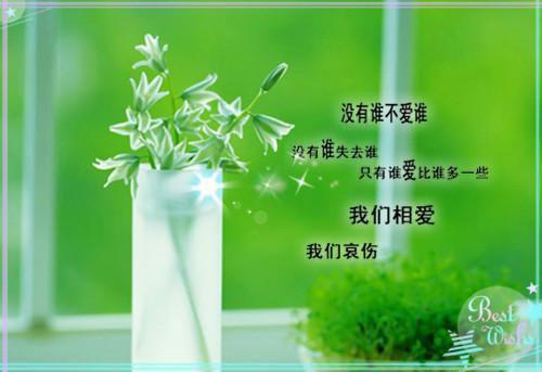 免费小说岁寒by东茗全章节阅读