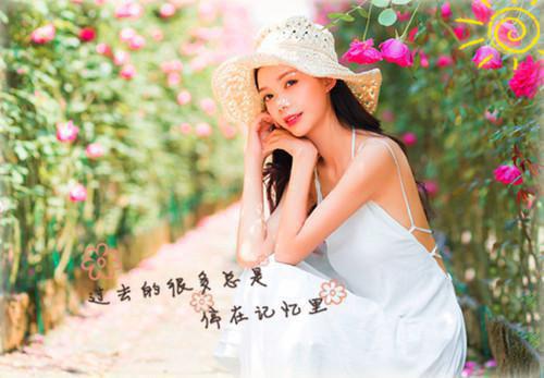 神明祸乱（玄莺凌霄）全文免费阅读无弹窗大结局_神明祸乱免费最新章节列表（玄莺凌霄）