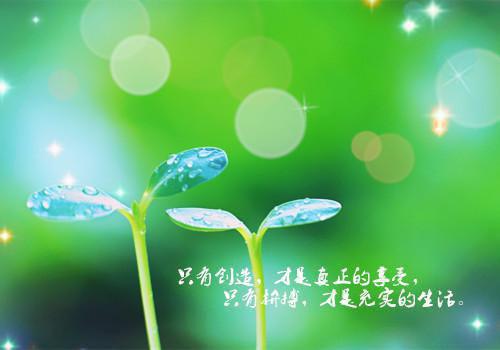 完结版我妖吃包子的小说傻子神医:未婚妻她不离不弃阅读