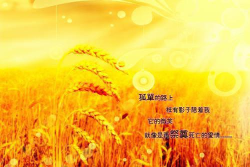 逆天弃女，神医兽妃倾天下猫小妖完本在线小说免费阅读