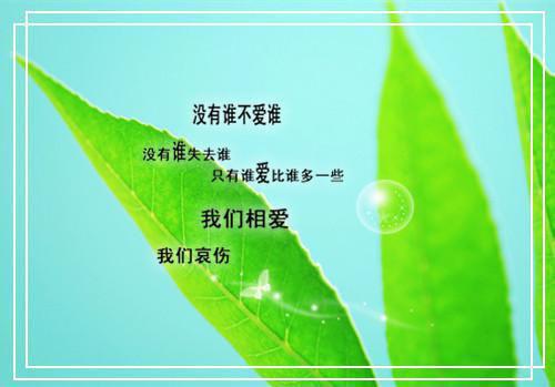 【新书】《野心续写小说》野心续写小说全文全章节免费温秋温亦璇读