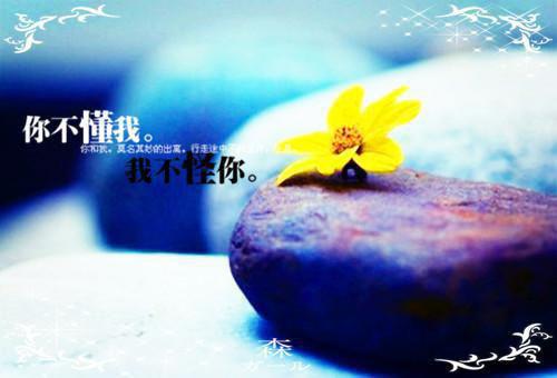 萧墨渊君凝全文txt全文小说全章节目录免费阅读