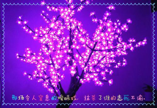 陆川写的小说我的高冷绝色女总裁 小说在线阅读