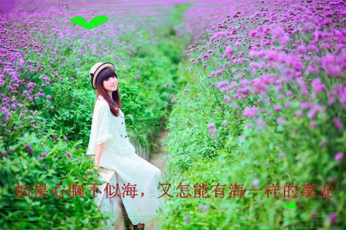 乔夏贺彦廷林伊雅（出轨的诅咒小说）全文免费乔夏贺彦廷林伊雅读无弹窗大结局_(出轨的诅咒小说小说免费乔夏贺彦廷林伊雅读)最新章节列表（乔夏贺彦廷林伊雅）