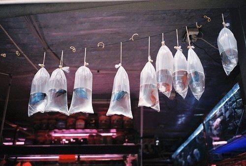 就范在线阅读小说章绪宁程竞舟热门小说完整版阅读