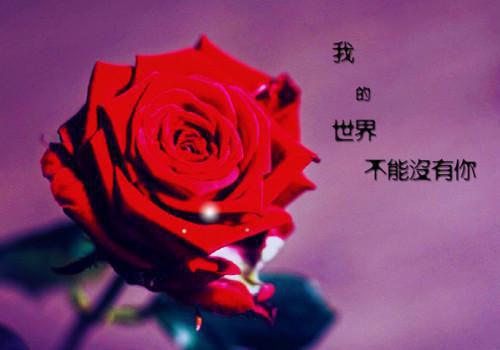 被夺人生，我反杀成功「精彩小说」沈微微姜盼免费阅读
