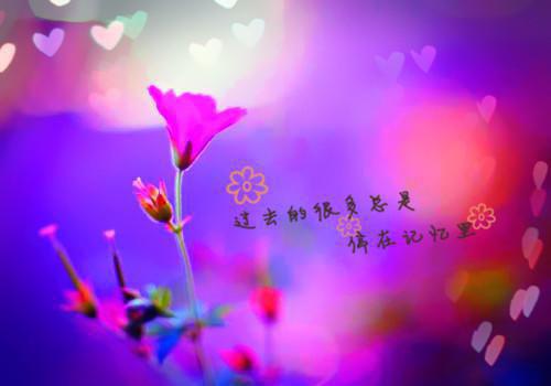 2024新上热文微甜歉意小说在线柏焰戚映读 微甜歉意小说叫柏焰戚映的小说（微甜歉意小说）完整版免费柏焰戚映读全文