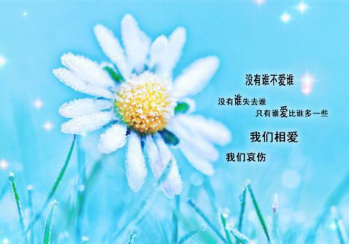 (番外)+(全文)过期白月光：结局+番外+完结（童希傅晏寻）完整全文在线阅读_过期白月光：结局+番外+完结免费阅读最新章节列表（童希傅晏寻）