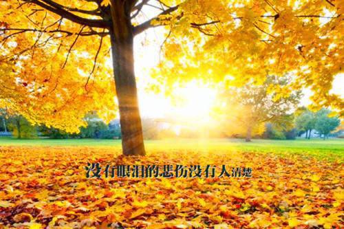 墨非白言叶温暖全文免费阅读(霸总湿情小说)全文免费墨非白言叶温暖读无弹窗大结局_ 霸总湿情小说墨非白言叶温暖全文免费墨非白言叶温暖读最新章节列表（霸总湿情小说）