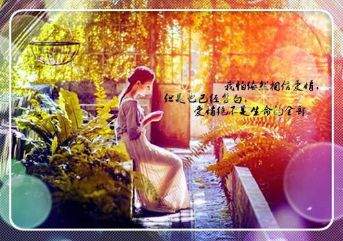 纷飞跳舞小说全文免费阅读(沈芸何清晚)全文免费沈芸何清晚读无弹窗大结局_ 沈芸何清晚免费沈芸何清晚读最新章节列表（纷飞跳舞小说）