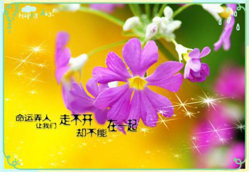 月上疏帘的小说重生国外，我顺千亿物资混末世免费阅读