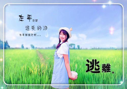 全本小说叶晴天陆程文小说免费陆程文叶晴天全文免费阅读